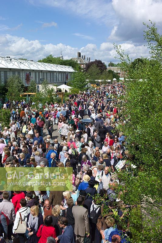 Crowds visiting the RHS Chelsea Flower Show.