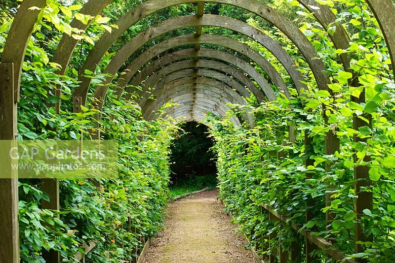 Pergola walkway. Painswick Rococo Garden, Gloucestershire 