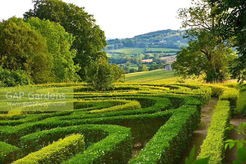 The anniversary maze planted in 2000 to celebrate the 250th birthday of the garden. Painswick Rococo Garden, Gloucestershire 