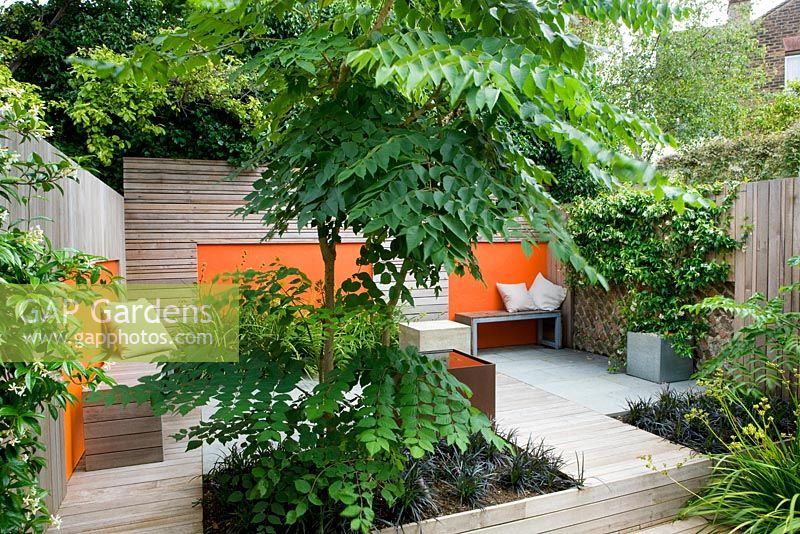 Modern contemporary garden in Brighton with decking, orange panels on walls, Ophiopogon and Aralia. 