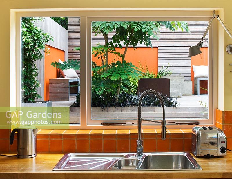 View through kitchen window to modern, contemporary garden in Brighton with decking, orange panel on wall, wooden fencing and Aralia 