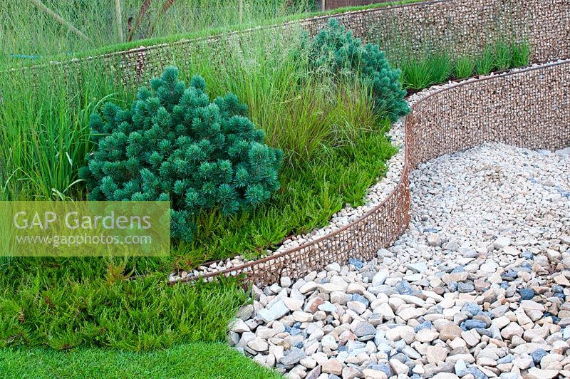 Pebble stone pathway and walls made of metal mesh and infilled with gravel with border between planted with grasses Calluna and conifer in the Natuarl Forces garden at RHS Tatton Flower Show 2013