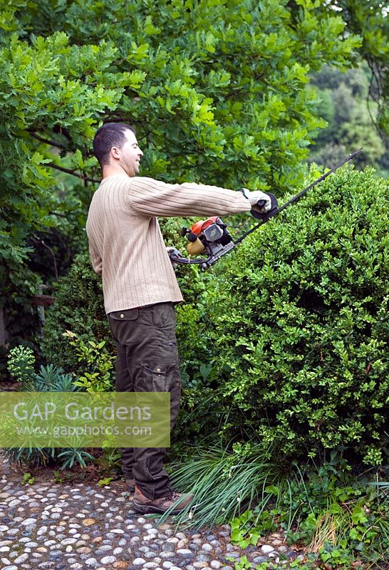Man clipping the hedges at Paolo Pejrone gardens