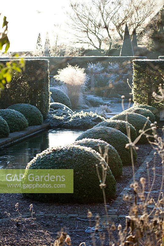 Winter garden in frost - the rill garden with canal lined with box balls. 