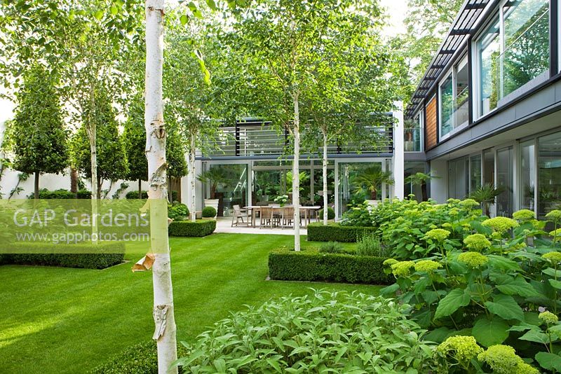 View across lawn to limestone patio with table and chairs, Betula jacquemontii - The Glass House, Petersham - Architects Terry Farrell Partners - Garden design by Sallis Chandler 
 