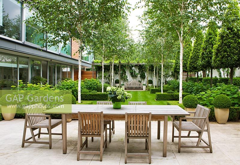 Limestone patio with dining table and chairs, Betula jacquemontii and lawn - The Glass House, Petersham - Architects Terry Farrell Partners - Garden design by Sallis Chandler