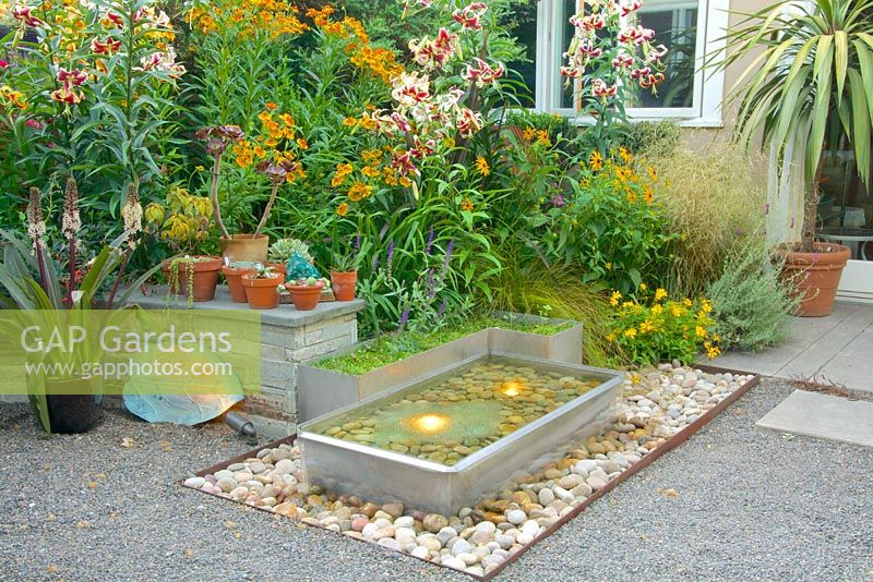 Summer evening with lit fountain, stone wall, containers, tropicals and garden art. Eucomis 'Sparkling Burgundy' - Pineapple Lily, Helenium autumnale 'Rotgold' - Sneezeweed, Lilium 'Sheherazade' - Orienpet Lily.