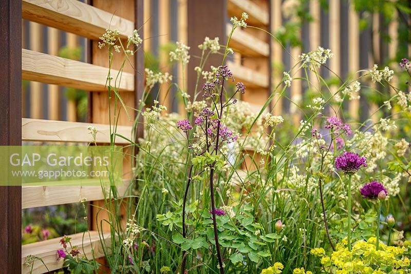 Mixed border planting, grasses and timber sreening, 'Bringing Nature Home', show garden, RHS Malvern Spring Festival 2014
