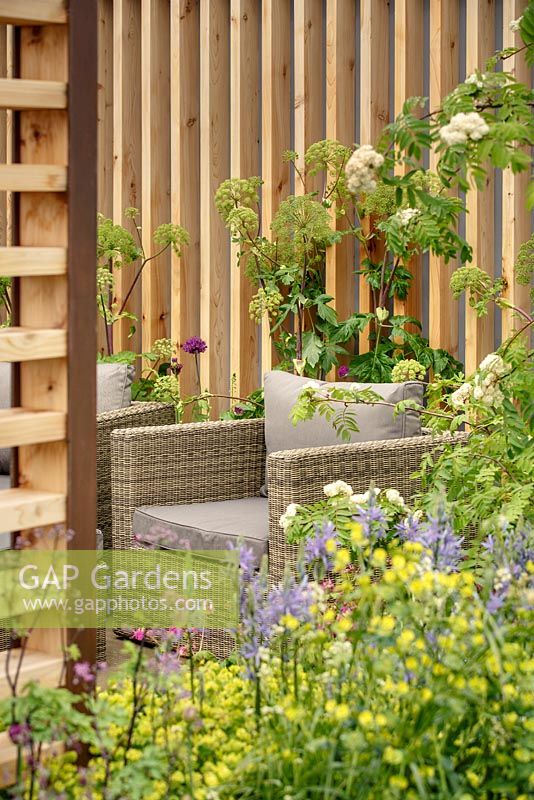 Seating area, mixed border planting and Angelica archangelica against timber screening, 'Bringing Nature Home', show garden, RHS Malvern Spring Festival 2014