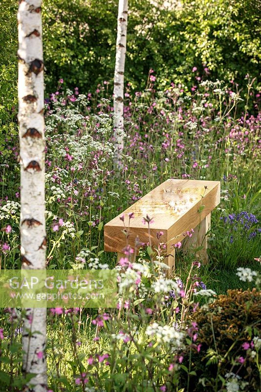 Wooden bench amongst Anthriscus sylvestris - Cow Parsley, Silene dioica - Red Champion, Hyacinthoides non-scripta - Bluebell and Betula pendula stems, 'Bringing Nature Home', show garden, RHS Malvern Spring Festival 2014