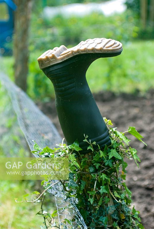 Old wellington boot on fence post at allotment