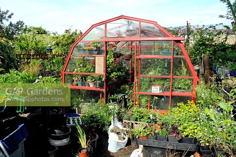 Red painted metal greenhouse full of and surrounded by plants in St Regis Close, Muswell Hill, an urban garden in the London Borough of Haringey.
