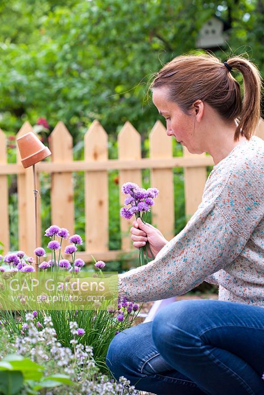 Woman picking chives.