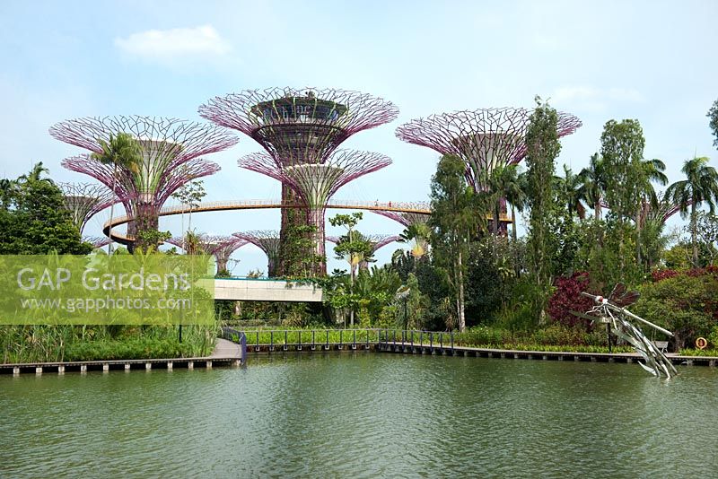 The Supertree Grove, Gardens by the Bay, Singapore