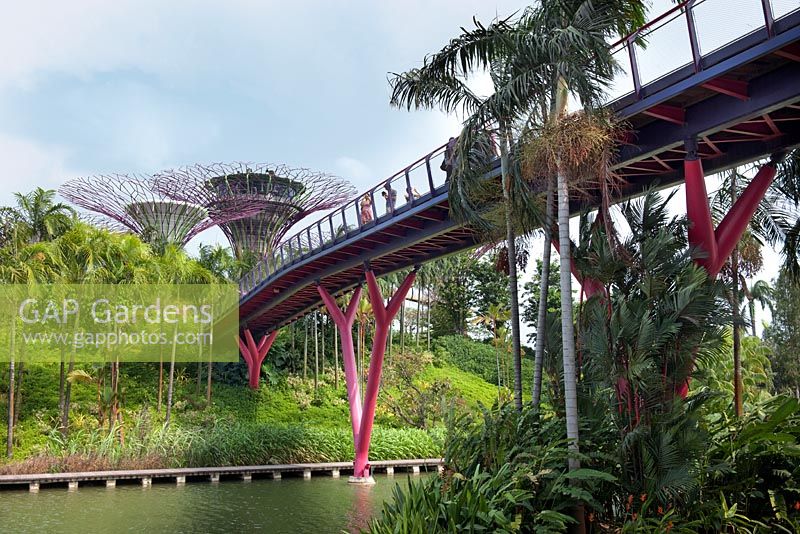 Gardens by the Bay, Singapore