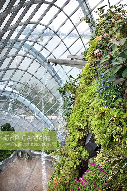 The waterfall in the Cloud Forest, Gardens by the Bay, Singapore