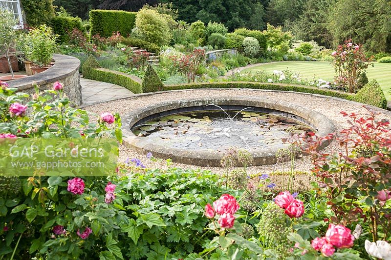 Circular pond on the terrace is surrounded by box edged beds containing roses including stripey Rosa 'Ferdinand Pichard' underplanted with hardy geraniums, poppies and alliums. Forest Lodge, Pen Selwood, Somerset, UK