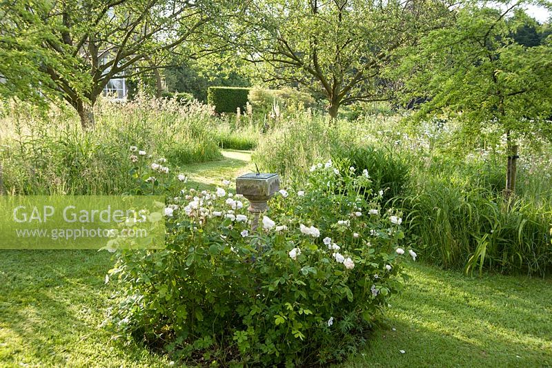 Sundial in the middle of the small orchard is surrounded by double white roses. Forest Lodge, Pen Selwood, Somerset, UK