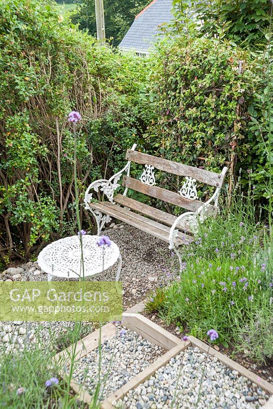 Seat backed with Trachelospermum jasminoides which produces small fragrant white flowers. Parc-Lamp, Ruan Lanihorne, Truro, Cornwall, UK