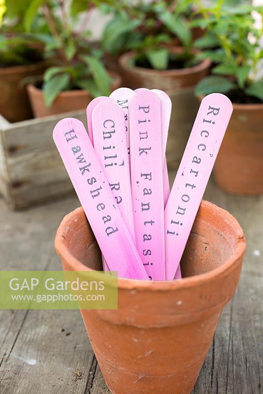 Using a vintage wooden stamp kit to create trendy plant labels