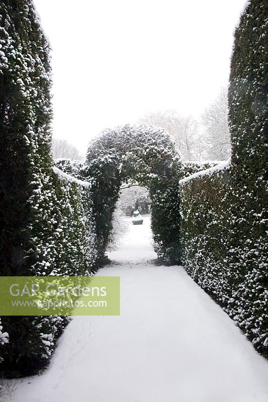 Yew corridor leading from the castle - Cantax