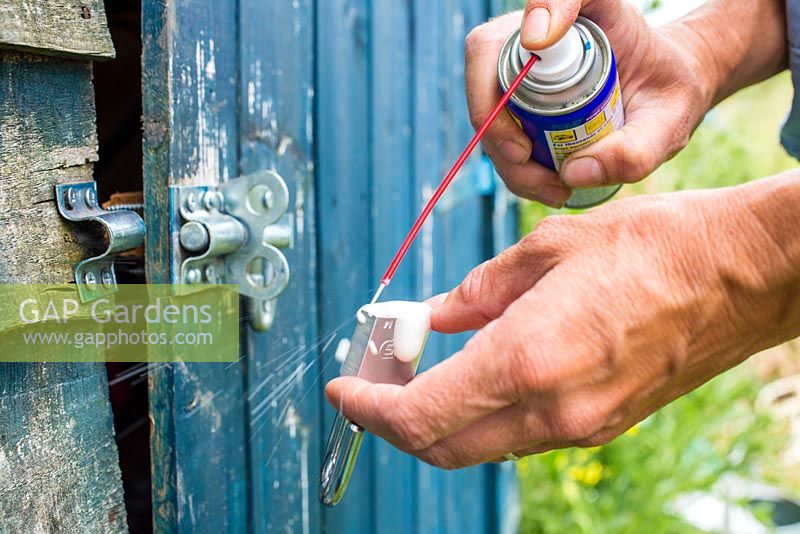 Lubricating rusty padlock on Allotment shed door
