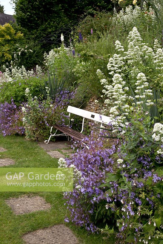 Valeriana officinalis and Campanula poscharskyana fill the borders with a bench that originated in the Mound Stand at Lord's Cricket ground. Mill Dene Garden, Gloucestershire.