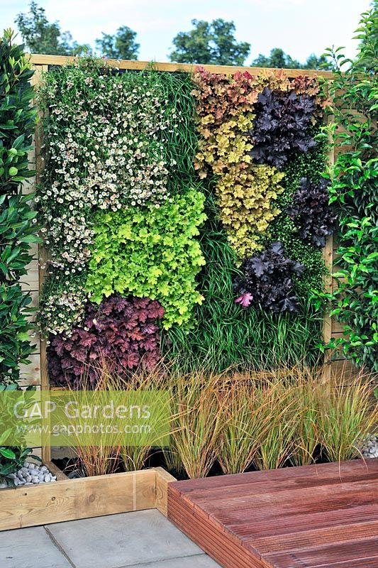 A Hampton Garden. Living Wall Panel