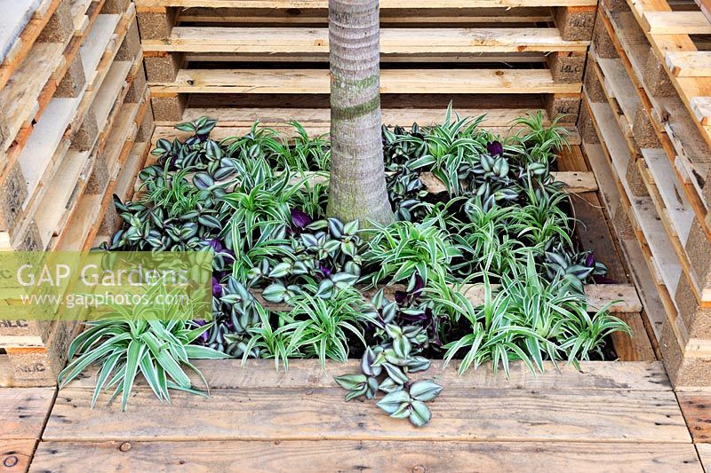 Planting in shipping pallet enclosure - The World Vision Garden. Designer: John Warland. Sponsors: World Vision  