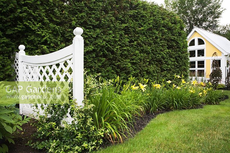 White wooden fence with trellis frames next to a flowerbed of yellow daylilies (Hemerocallis) and an artist's workshop surrounded by a cedar hedge (Thuja occidentalis)  - Il Etait Une Fois garden, Monteregie, Quebec, Canada. 