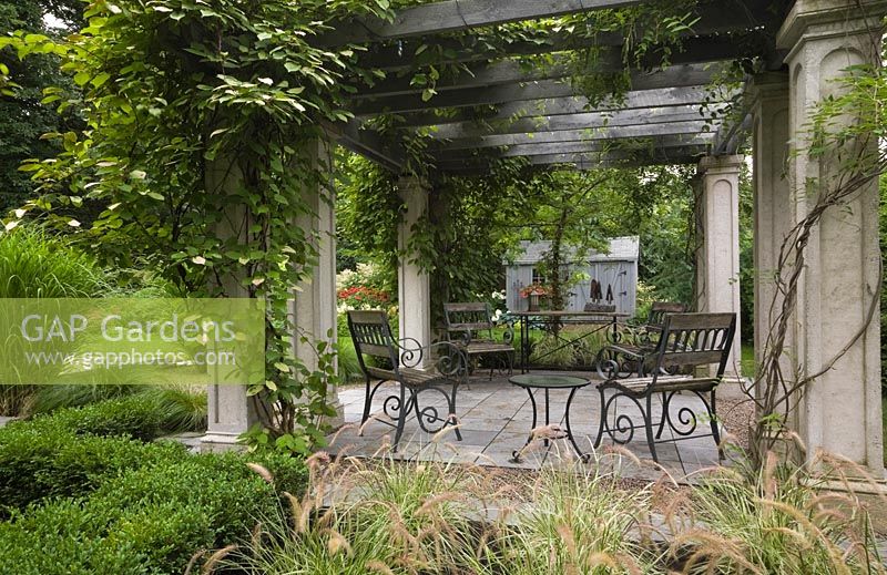 Garden chairs and table underneath a wood and concrete pergola covered with a Kiwi ornemental ‘Arctic Beauty' climbing vine (Actinidia kolomikta ‘Arctic Beauty'. Pennisetum setaceum 'Sky Rocket') ornamental grass in the foreground - Il Etait Une Fois garden, Monteregie, Quebec, Canada. 