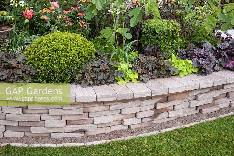 Bacchus Garden - view of garden with stone wall raised bed planting of Heuchera and box topiary - Designer - Jean Wardrop - Sponsor - The RHS