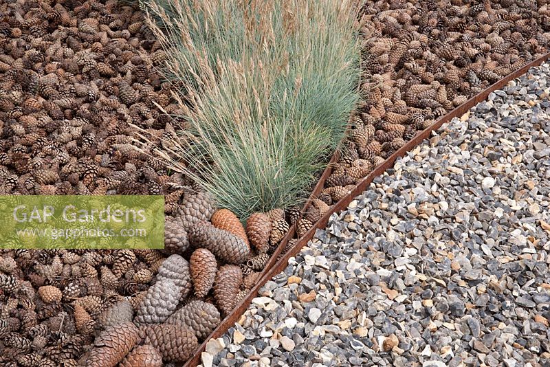 The Flintknapper's Garden - A Story of Thetford - view of mulch pine cones and gravel path with planting of Festuca glauca Blaufuchs - Designer - Luke Heydon - Sponsor - Thetford businesses 