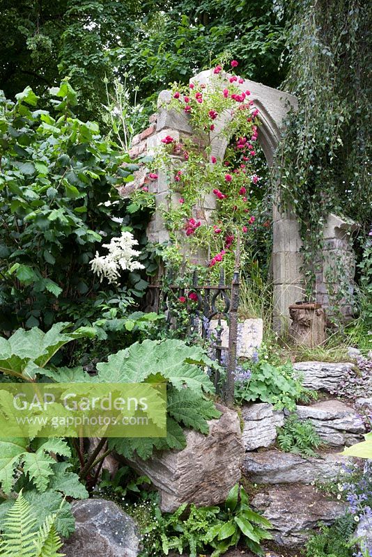 The Forgotten Folly - view of garden folly with rambling rose stone steps and gunnera in shady corner with ferns 