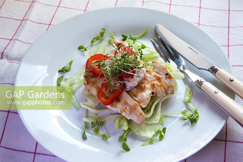 Microgreens provide the finishing touches to this tasty chicken dish.