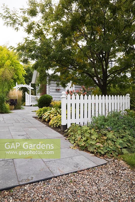Grey flagstone path leading to a arbour through a white picket fence in front garden in autumn. Plantings include Yellow Lady's mantle, 'Alchemilla mollis' and an Amur maackia 'Maackia amurensis' tree. Stacked log home in the background. Il Etait Une Fois garden, Monteregie, Quebec, Canada. 