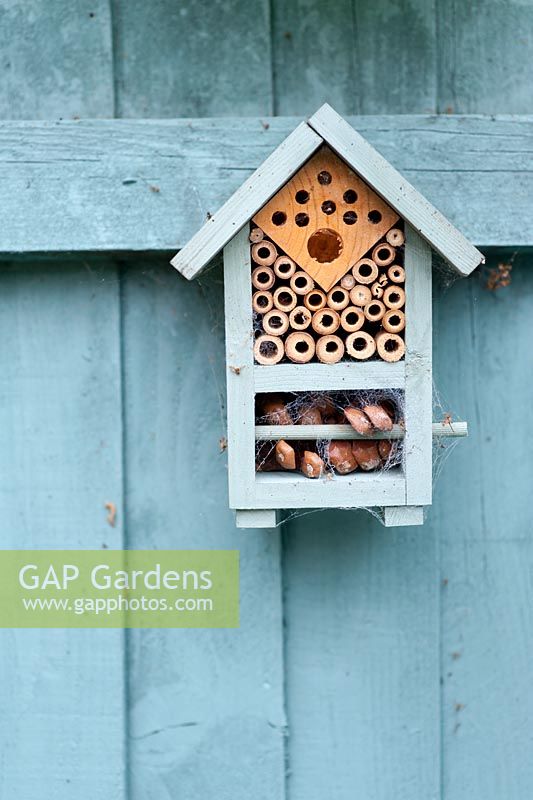 Insect bug box or hotel for overwintering bugs