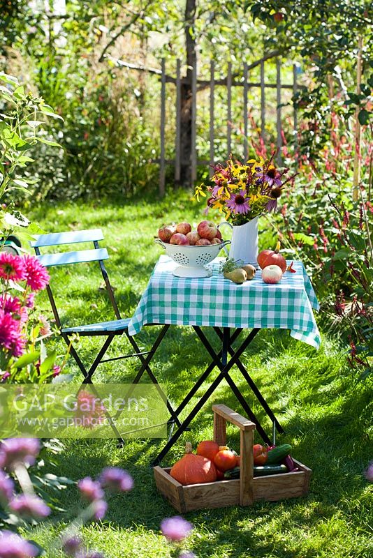 Country garden in summer with harvested vegetables and jug of perennials.