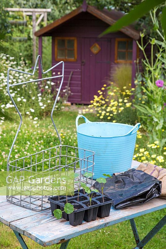 Materials required are Nasturtium plugs, bucket of compost, hessian sack, black plastic lining and upcycled hanger. 