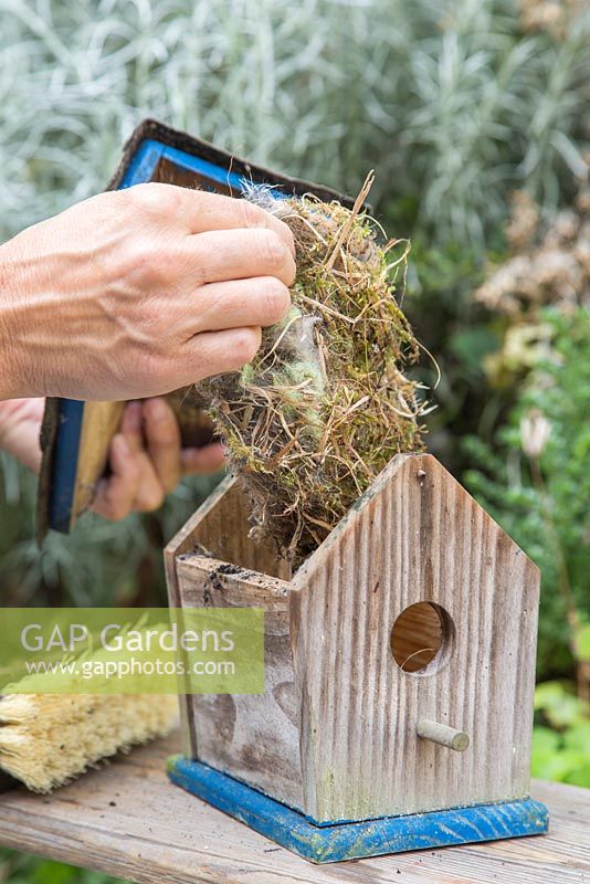 Remove nesting material from inside the birdhouse