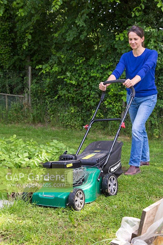 Woman mowing grass in an allotment patch