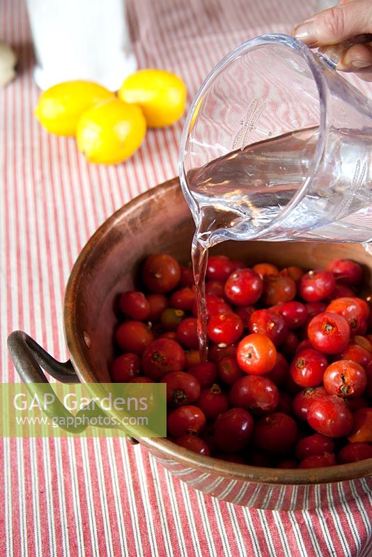 Making rosehip jam. Add water to the hips 