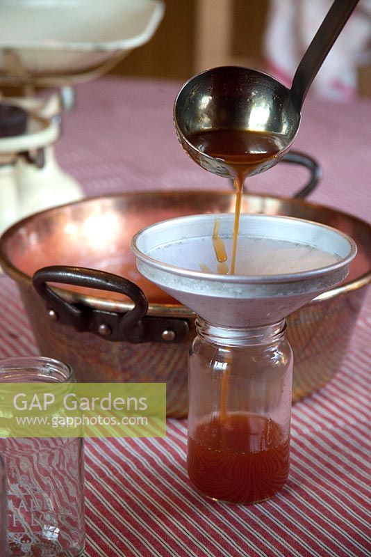 Making rosehip jam. Ladle the hot jelly into sterilised jars