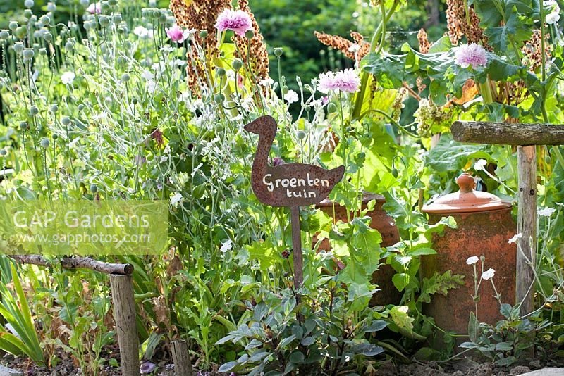 Metal ornamental bird in vegetable garden. Rhubarb forcer.