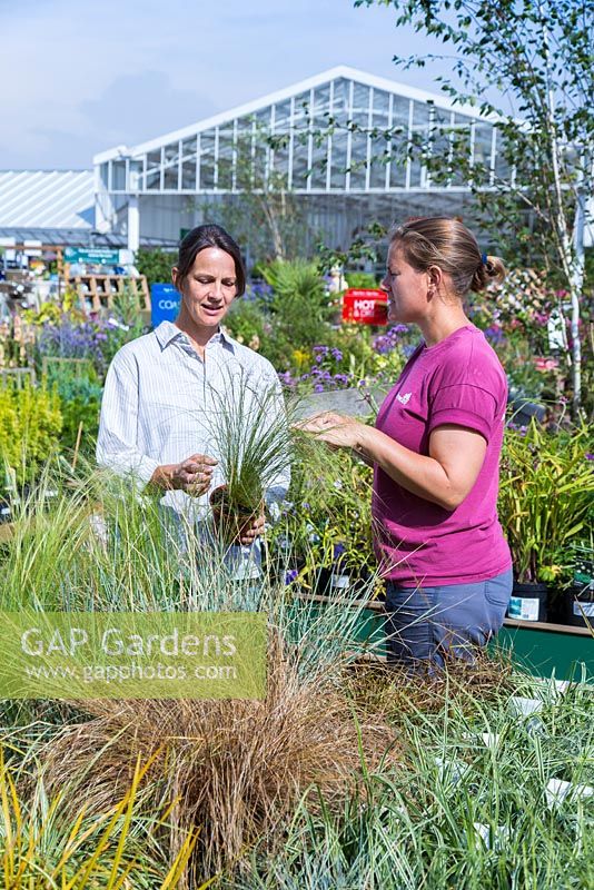 Female customer receiving advice on grasses, from an employee at a garden centre