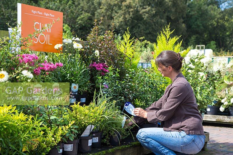 Female customer browsing Clay soil themed plants at a garden centre.