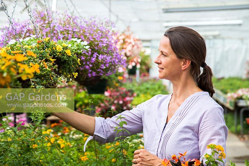 Woman admiring hanging basket of orange Portulaca, within a garden centre