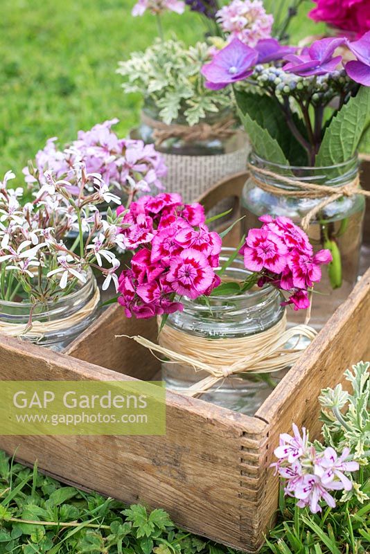 Floral arrangement of scented Pelargoniums, Hydrangea and Dianthus barbatus in vintage glass jars