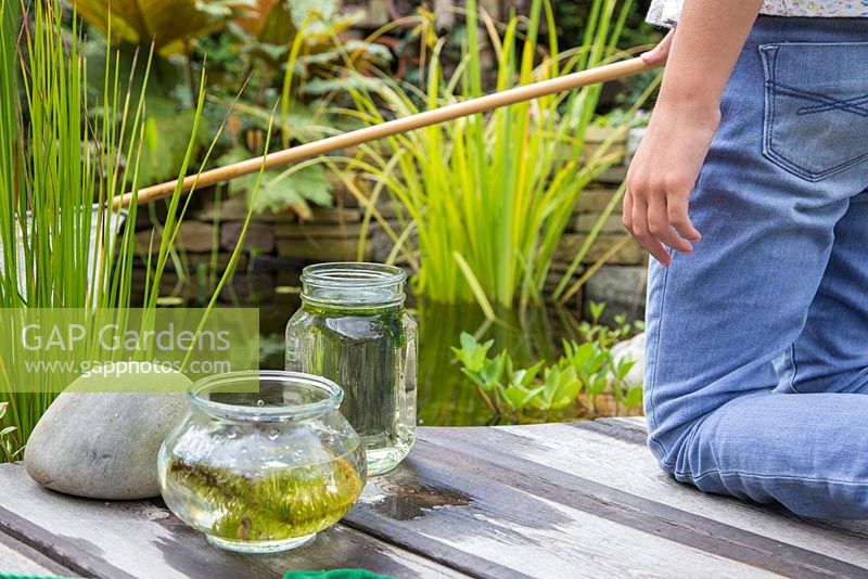 Young girl pond dipping in her garden