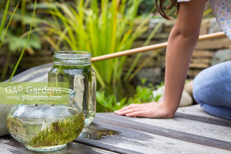 Young girl pond dipping in her garden